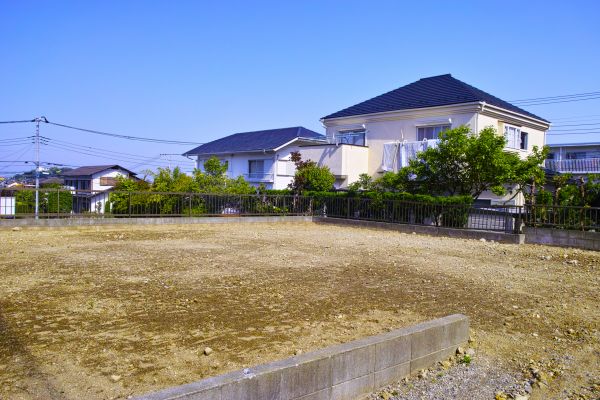 Cost of Lot Clearing Service in Castle Rock