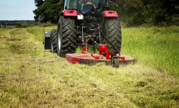 Cost of Brush Clearing Service in Castle Rock