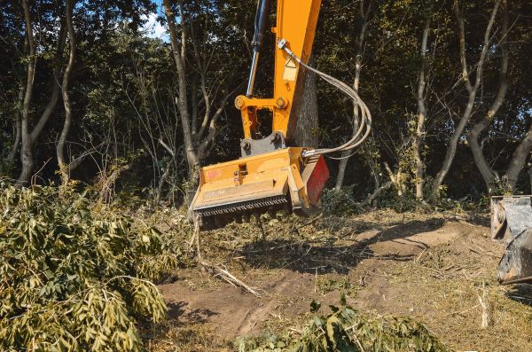Cost of Brush Removal Service in Castle Rock