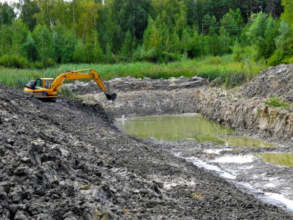 Cost of Lake Lot Clearing in Castle Rock