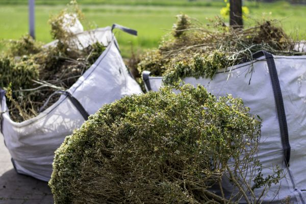 Cost of Bushes Clearing in Castle Rock