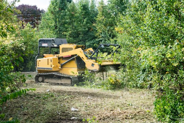 Cost of Pathway Clearing in Castle Rock
