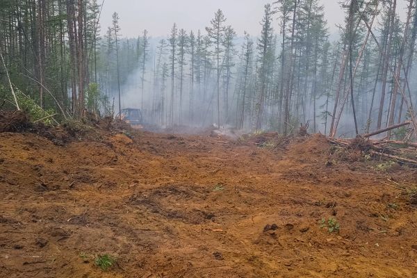 Cost of Hill Clearing in Castle Rock
