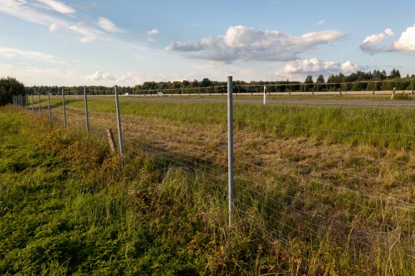 Cost of Property Line Clearing in Castle Rock