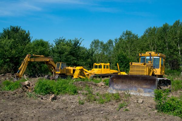 Cost of Bulldozer Clearing in Castle Rock