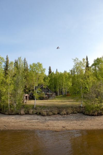 Cost of Waterfront Land Clearing in Castle Rock