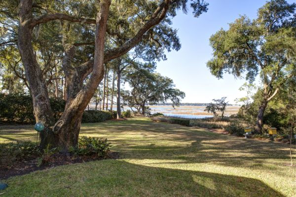 Cost of Lakefront Property Clearing in Castle Rock