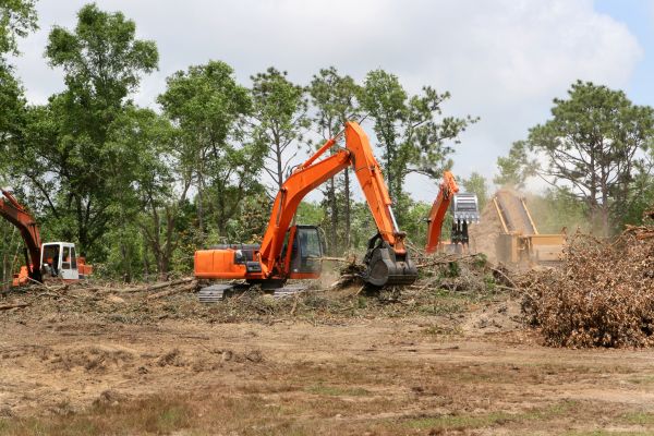 Cost of Commercial Lot Clearing in Castle Rock