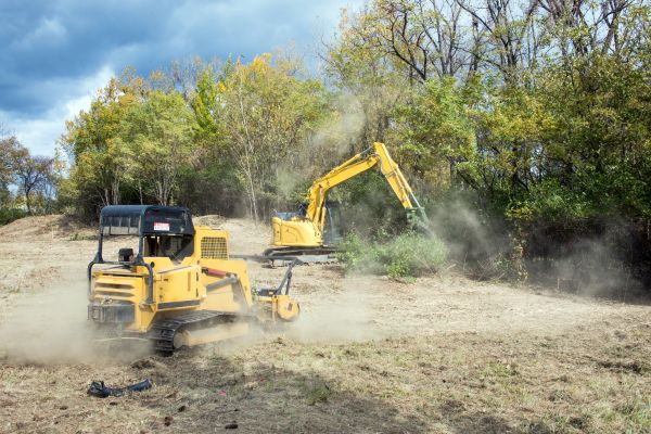 Cost of Terrain Clearing in Castle Rock