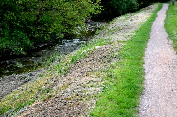 Cost of Trail Cutting in Castle Rock